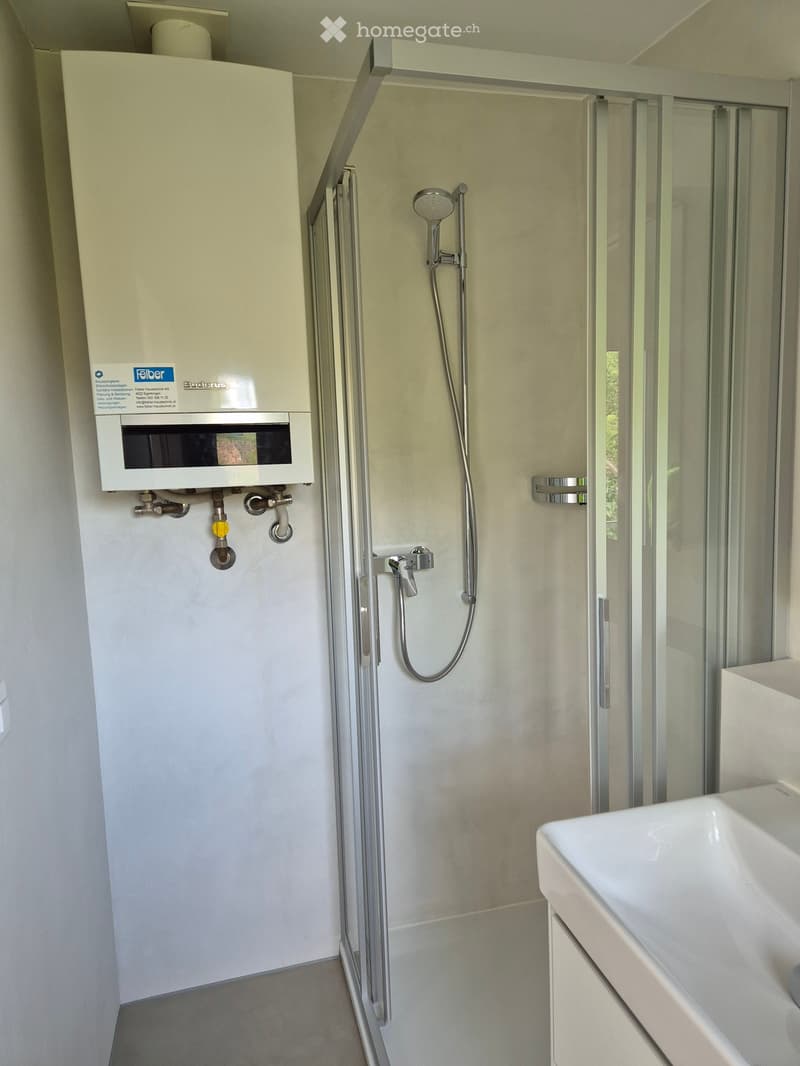 Modern bathroom with a white sink, glass shower enclosure, and a water heater unit mounted on the wall.
