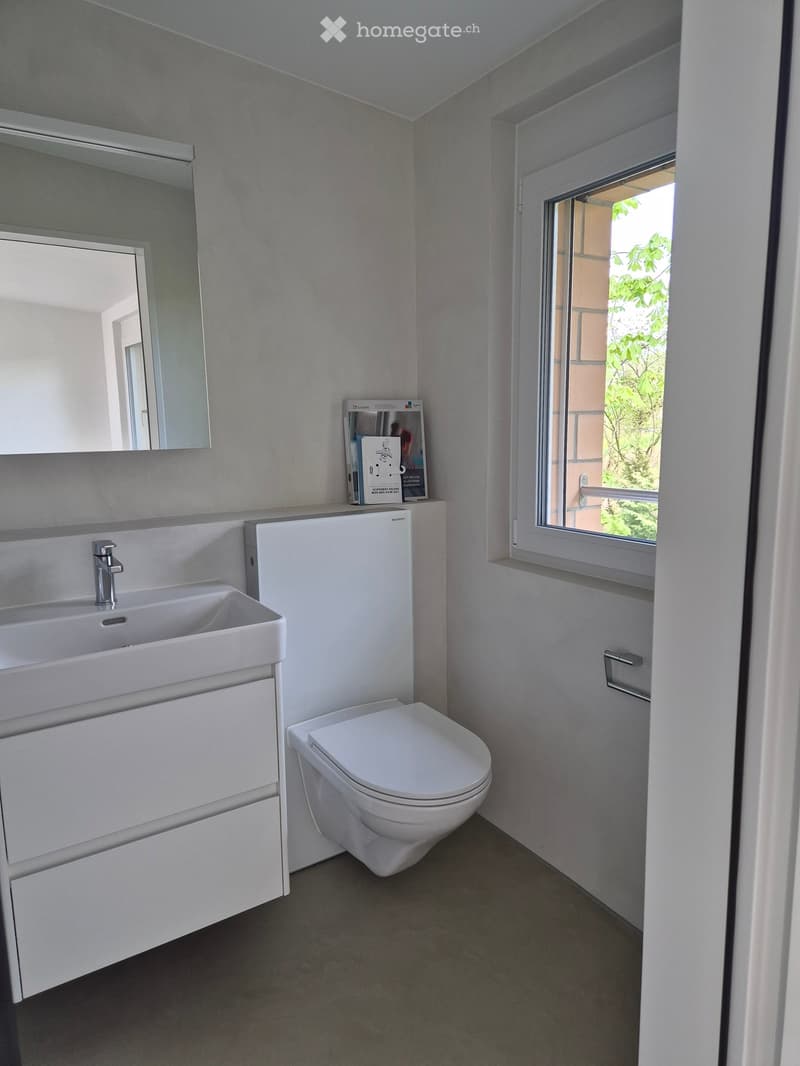 Modern bathroom with a white sink, faucet, toilet, and mirrored cabinet. A window with a view of greenery is visible on the right side.