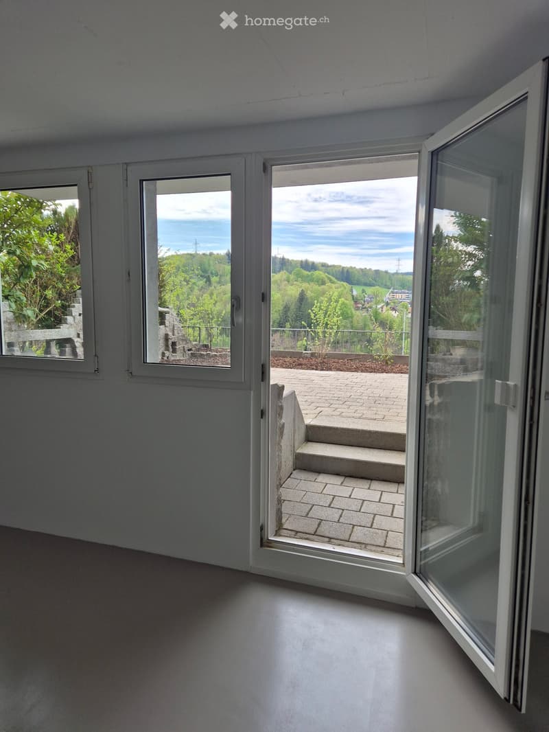 Empty room with large windows and a view of a green landscape, leading to a paved outdoor area.