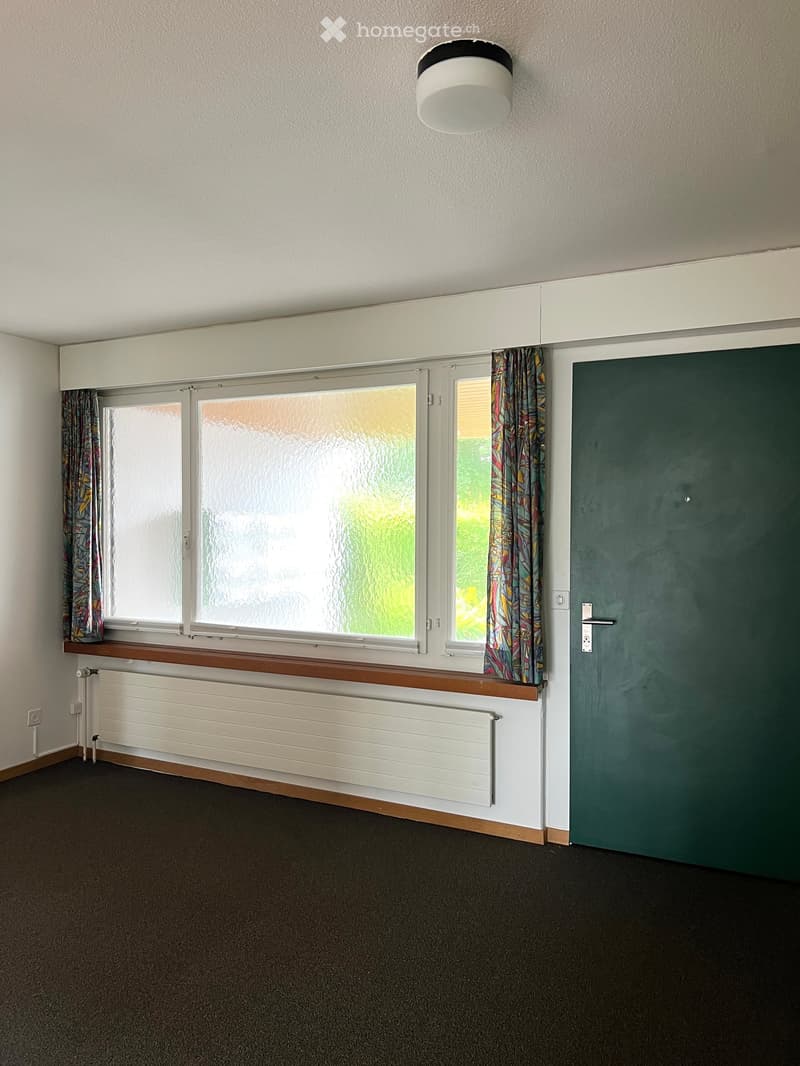 Empty room with carpeted floor, large window with curtains, radiator, and a green door.