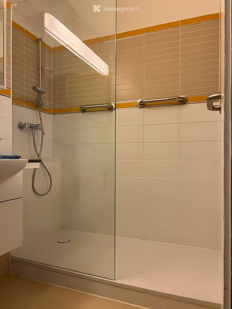 Modern bathroom with a glass-enclosed shower, beige tiles, and a built-in handrail for accessibility.