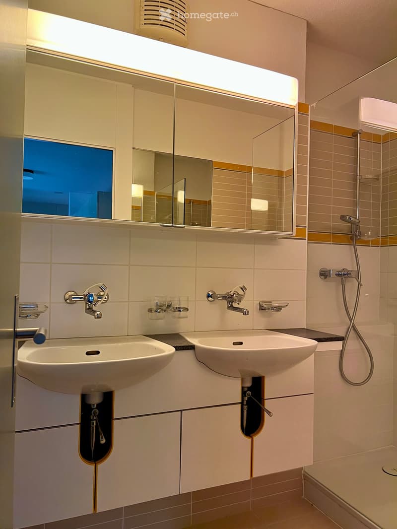 Modern bathroom with two white sinks, mirrored cabinet, shower, and built-in storage. Features sleek fixtures and a large mirror with integrated lighting.