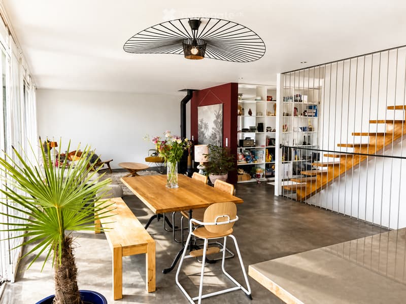 Modern open-plan living and dining area with a wooden dining table, chairs, bench, shelves, and decorative plants.