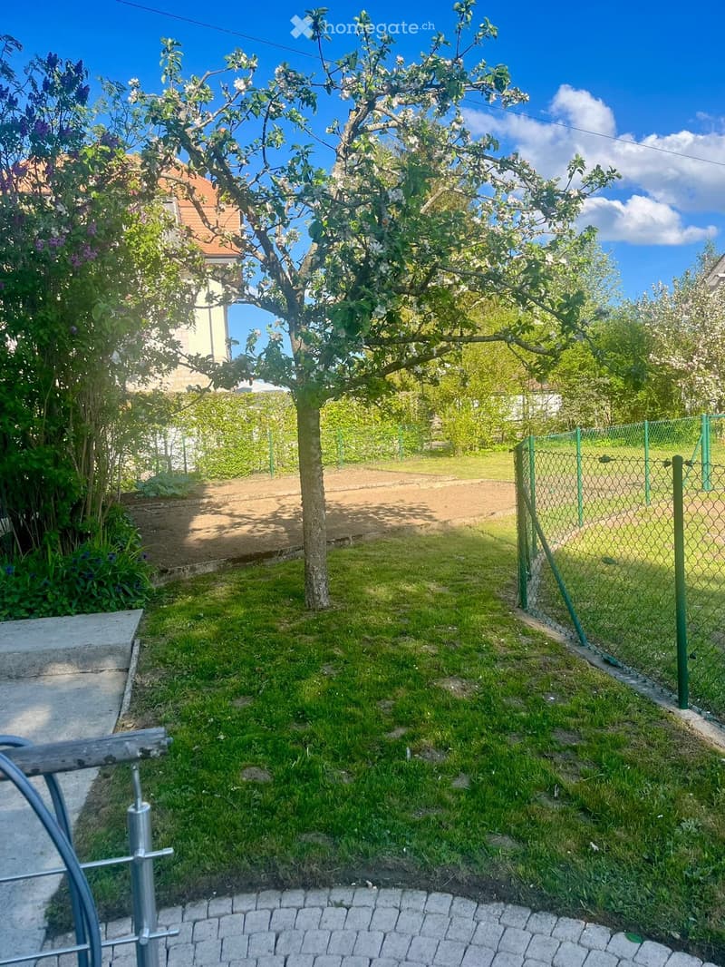 Garden with a tree, green grass, a fence, and a concrete pathway.