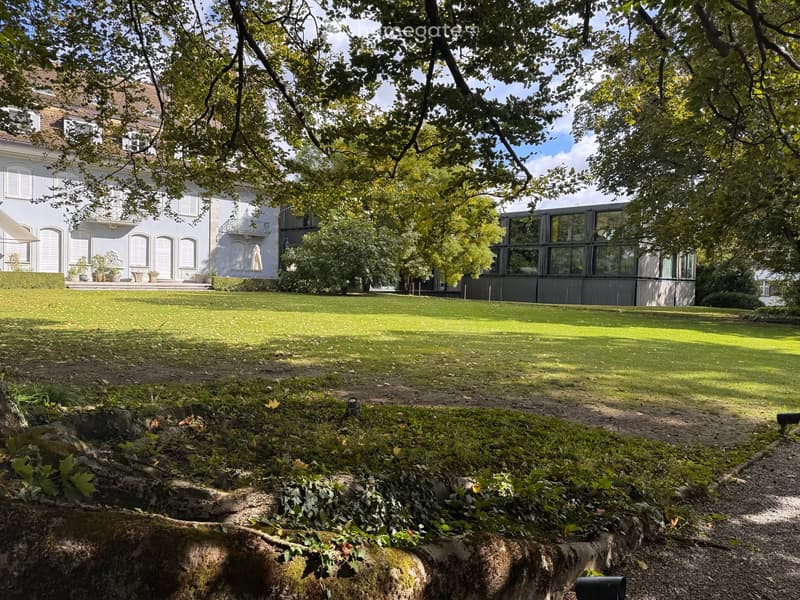 A large, well-maintained lawn with a modern house in the background, featuring a balcony and multiple windows, surrounded by mature trees and shrubs.