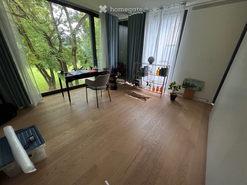 Bright room with wooden flooring, large windows, a desk with a chair, a shelf with books and decorative items, and a small potted plant.