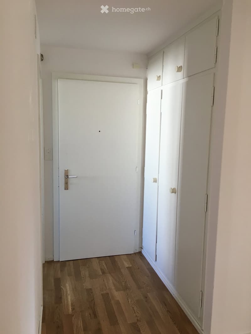 A narrow hallway with light wooden flooring, white walls, a closed white door, and built-in white cabinets with handles.