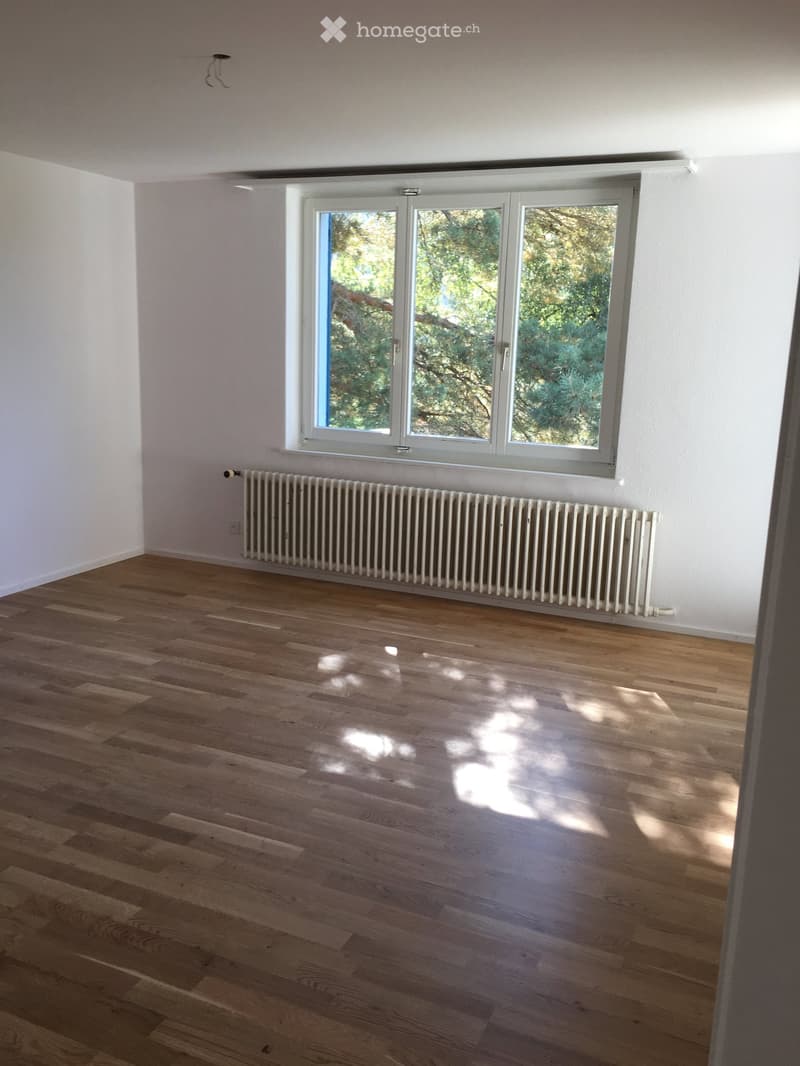 Empty room with wooden flooring, white walls, large window with white frame, radiator below window, and visible light fixture on wall.
