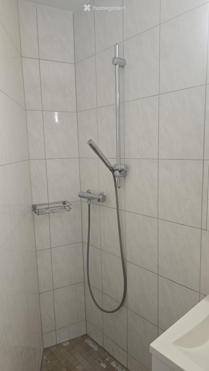 Modern bathroom with white tiled walls, a handheld showerhead, a towel rack, and a sink visible in the corner.