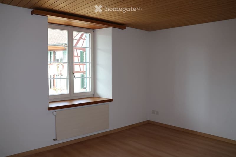 Grosszügige Wohnung in historischem Riegelhaus (16)