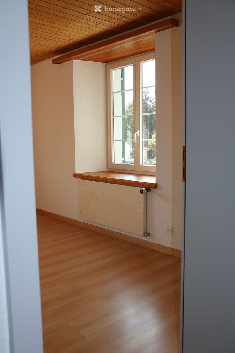 Grosszügige Wohnung in historischem Riegelhaus (18)