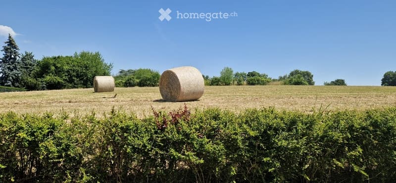 Open field with hay bales, surrounded by trees and shrubs under a clear blue sky.