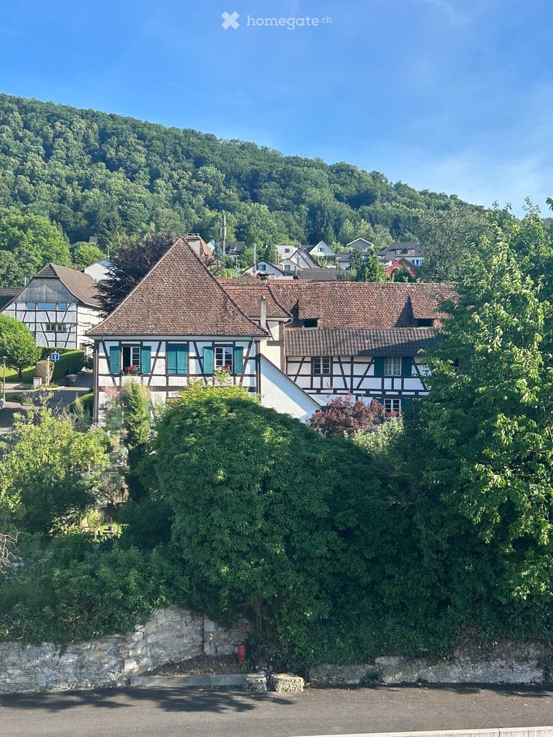 brown roof, white walls with green window frames, surrounded by trees and plants, located at the bottom of a mountain