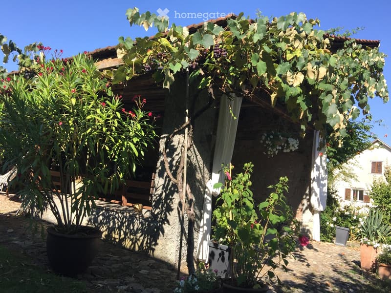 Small house with a vine roof, stone wall, garden with hanging plant, and a white building in the background.
