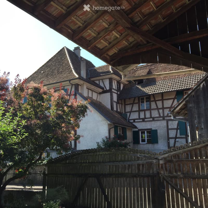 Old house, 3 stories, brown roof, chimneys, wooden fences