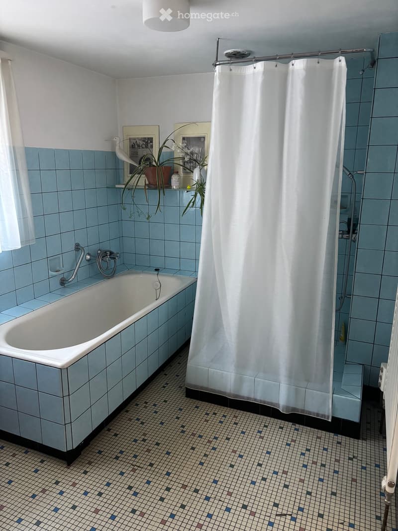 Bathroom with blue tiles, bathtub, shower curtain, shelf with plants, radiator