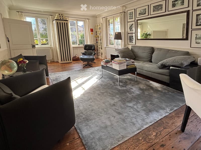gray couch, black chair, gray rug, table with books, radiator, lamps, mirror, windows, shelves