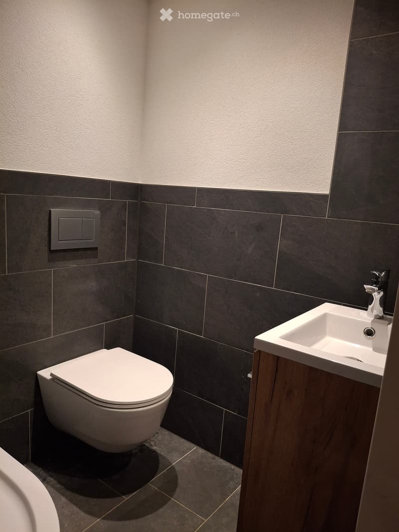 Modern bathroom with dark grey tiles, white toilet, white sink with chrome faucet, and wooden cabinet.