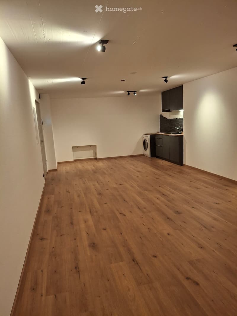 Empty room with wooden flooring, white walls, and a small kitchen area featuring a sink, cabinets, and a washing machine. The space is well-lit with track lighting.