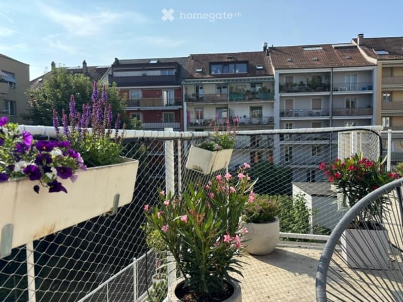 Balcony with metal railing, potted plants, and flowers, overlooking a residential area with multiple apartment buildings.