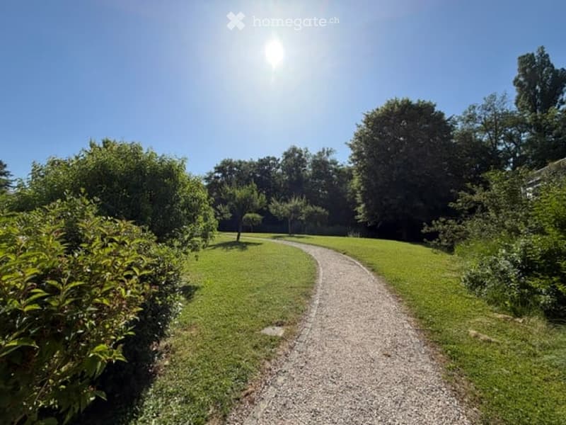 A well-maintained garden with a gravel pathway, lush green grass, and various trees and shrubs under a clear blue sky.
