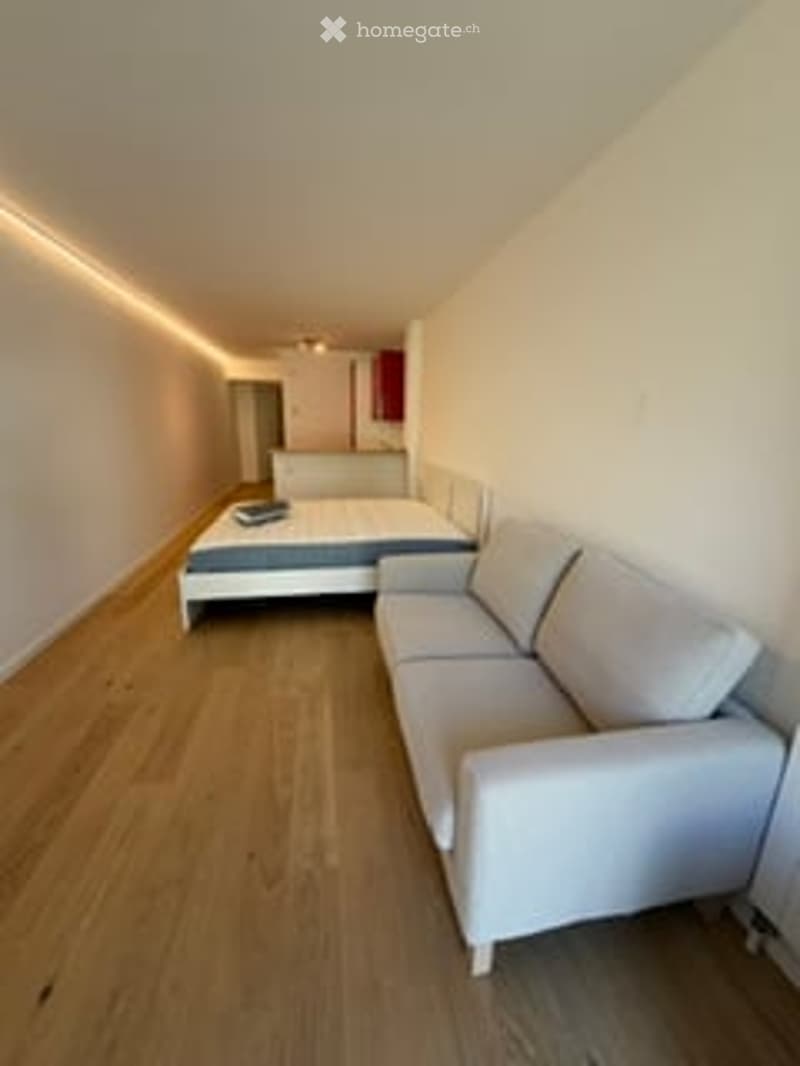 Modern, minimalist room with white walls, light wood flooring, a white sofa, and a single bed.