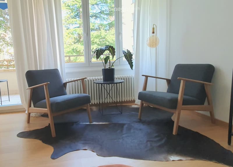 Modern living room with two wooden chairs, a small round table with a plant, a floor lamp, and a large dark rug on a wooden floor.
