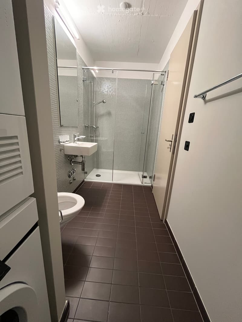 Modern bathroom with dark brown tiles, white sink, toilet, and glass-enclosed shower. Features a mirror and a towel rack on the wall.