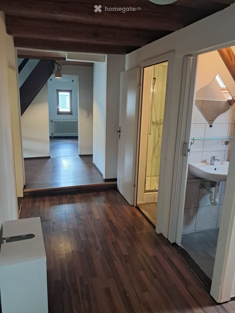 A narrow hallway with wooden flooring, leading to a small room and a bathroom. The hallway has white walls, a hanging light fixture, and a visible radiator in the adjacent room.