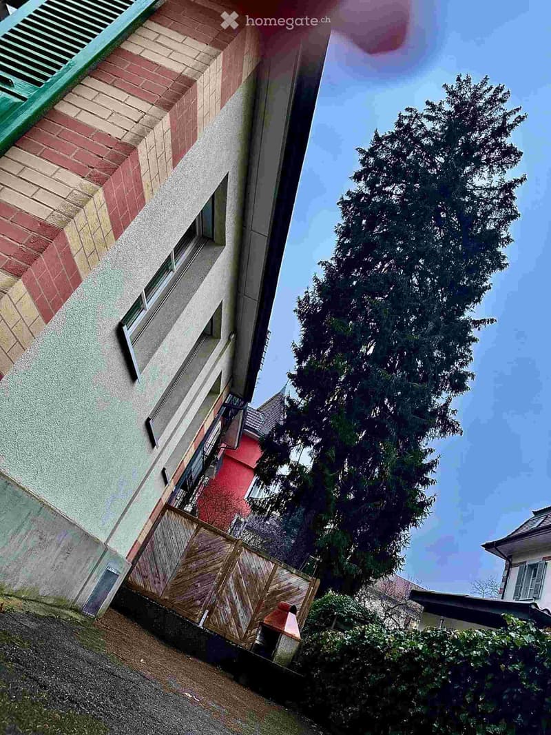 Multi-story residential building with colorful facade, windows, and a tree in front.