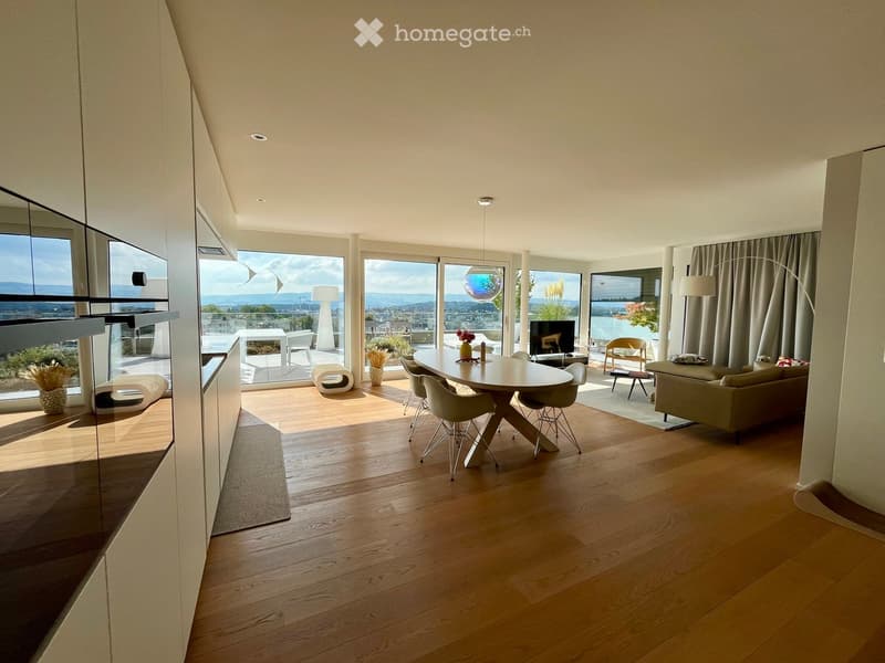 modern open-plan living and dining area with large windows, wooden floor, dining table, chairs, couch, TV, floor lamp, rug, kitchen area with cabinets, plants, and a view of the city