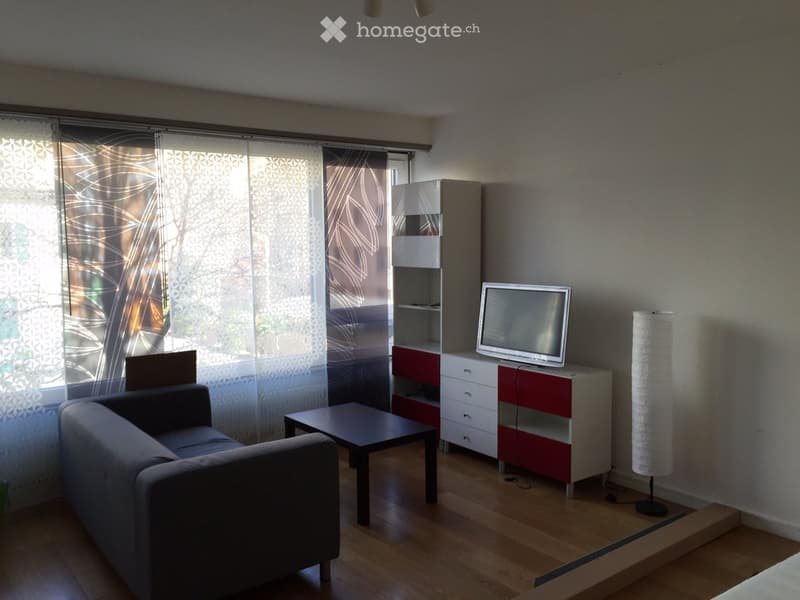 Modern living room with a grey sofa, coffee table, TV on a red and white stand, floor lamp, and a white shelf unit.