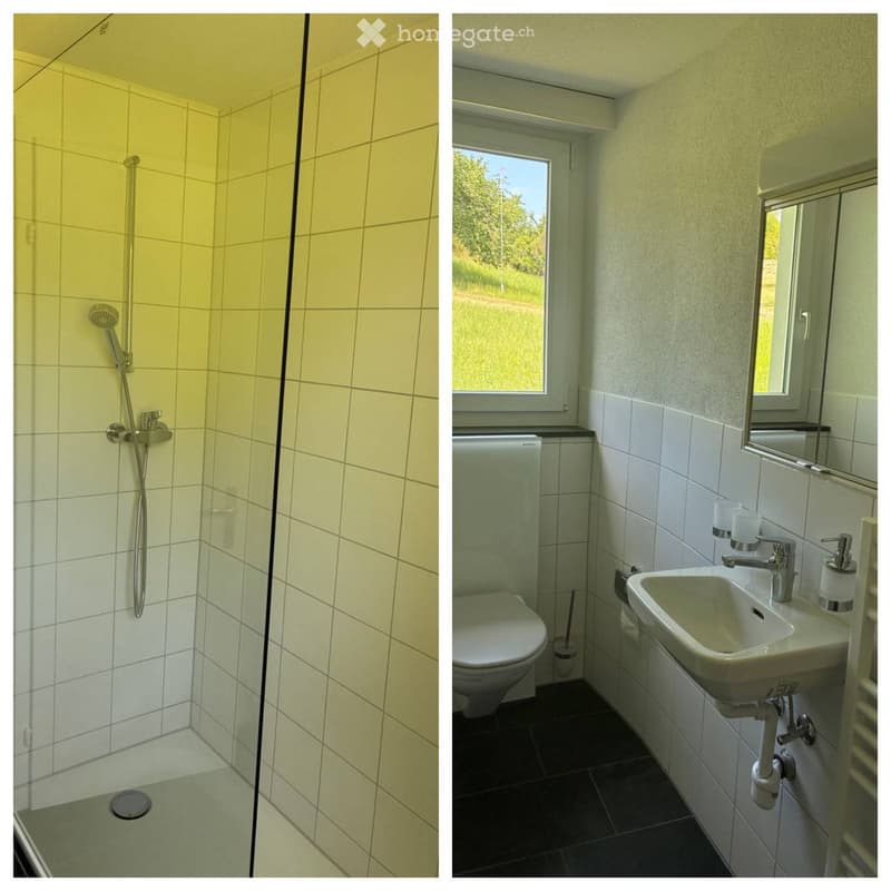 Modern bathroom with a walk-in shower and a separate sink and toilet area. The shower has a glass enclosure and a handheld showerhead. The sink area includes a mirror and a modern faucet.