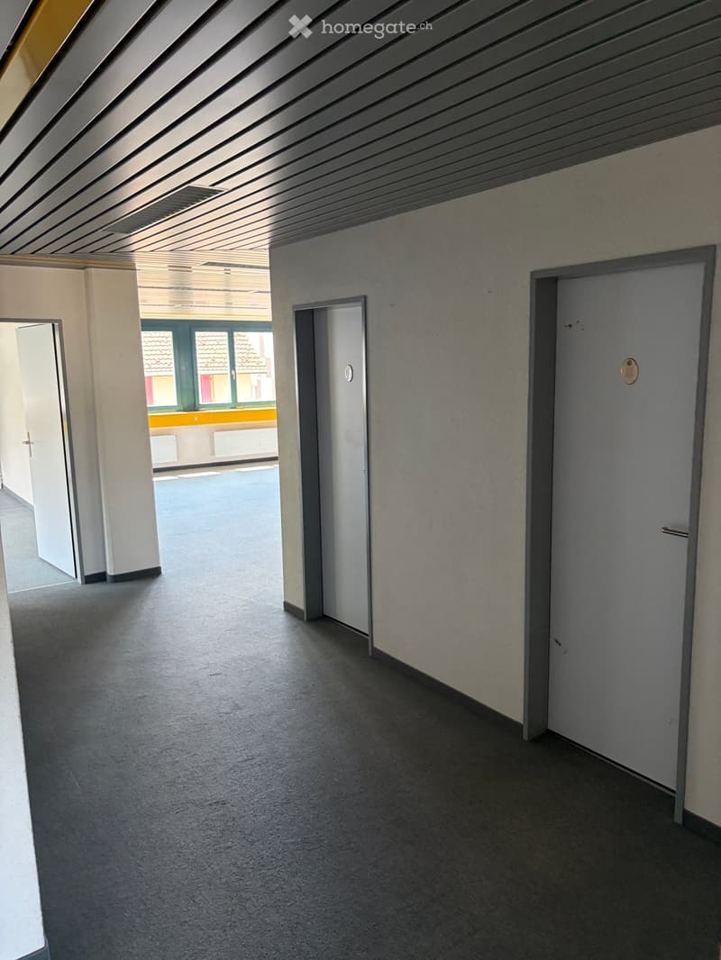 Empty hallway with grey carpeted floor, white walls, and several doors leading to other rooms. The ceiling has a modern, industrial design with visible beams and lighting fixtures.