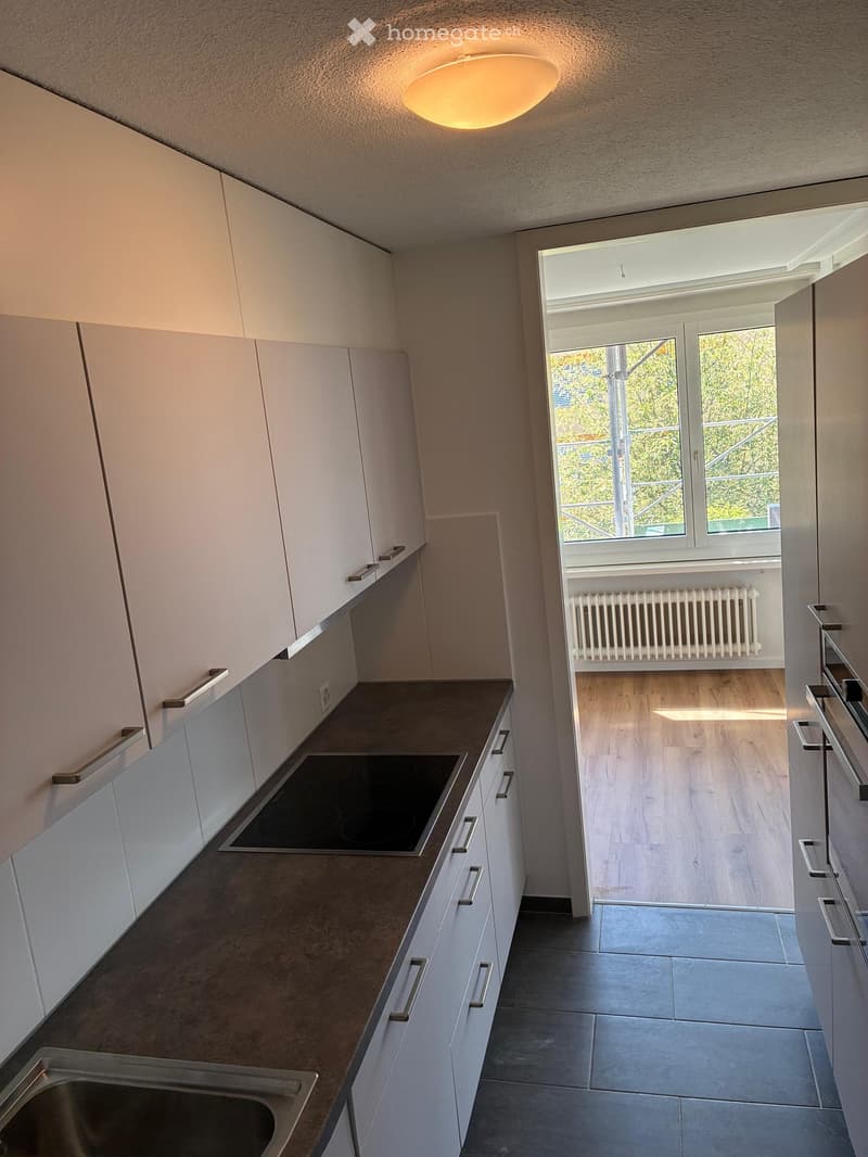 Modern kitchen with white cabinets, induction stove, and a sink, leading to a bright living area with wooden flooring.