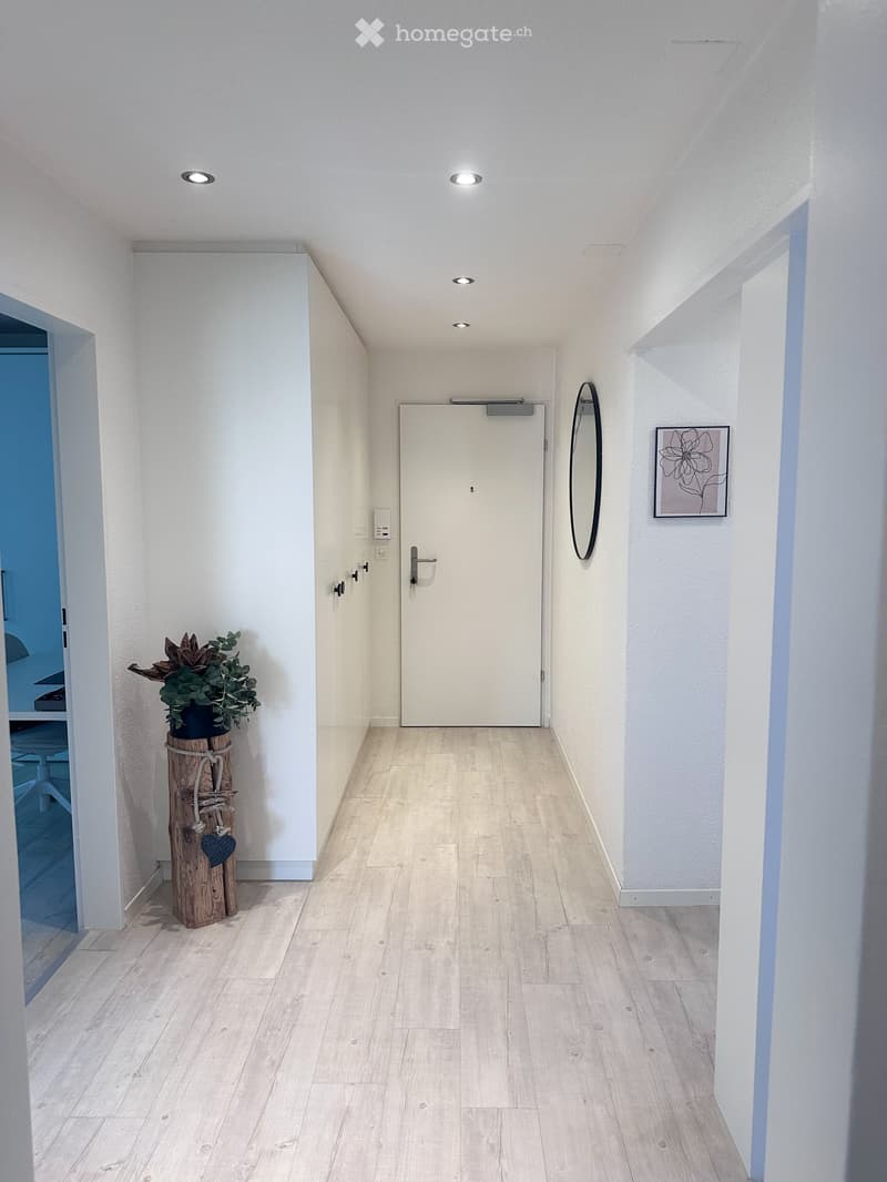 Modern hallway with light wooden flooring, white walls, recessed ceiling lights, a potted plant on a wooden stand, a mirror, and a framed artwork on the wall.