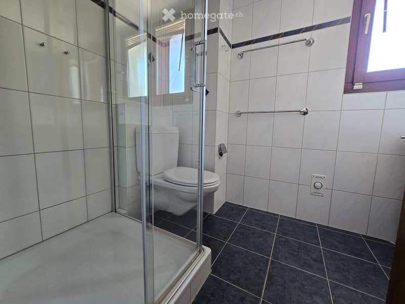 Modern bathroom with white tiled walls, a glass-enclosed shower, and a toilet. Features a dark tiled floor and a window with a purple frame.
