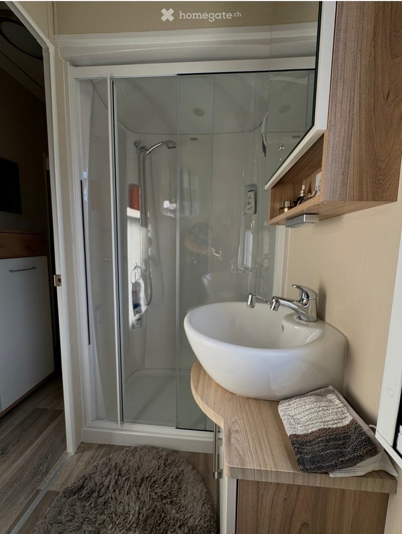 Modern bathroom with a white sink, sleek faucet, glass-enclosed shower, and a wooden shelf with a towel.