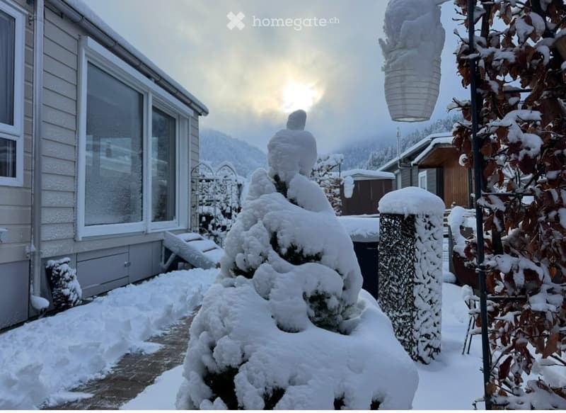 Snow-covered garden area with a house, snow-laden trees, and a lantern in the background.