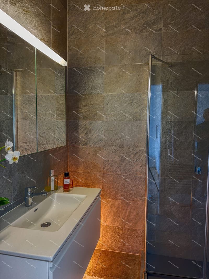 Modern bathroom with a white sink, chrome faucet, and a glass-enclosed shower. Brown tiles on walls and floor, with decorative bottles on the sink counter.