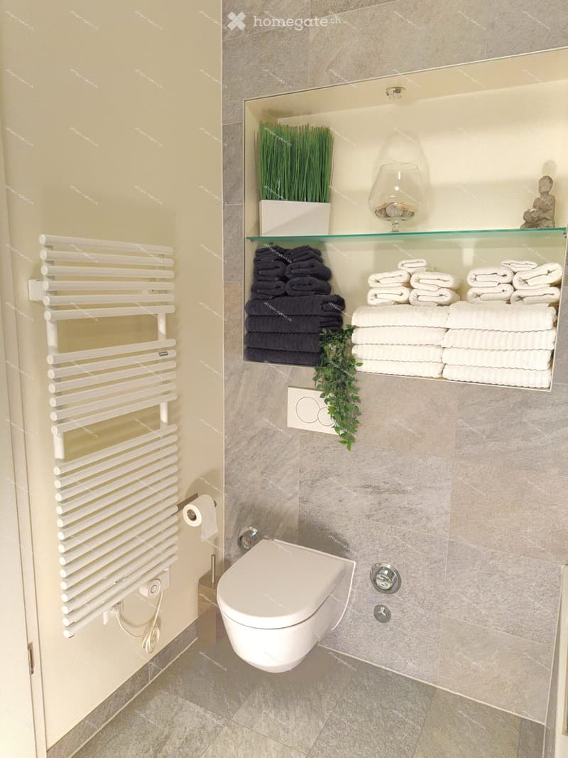Modern bathroom with a toilet, towel rack, neatly folded towels, a glass shelf with decorative items, and a radiator.