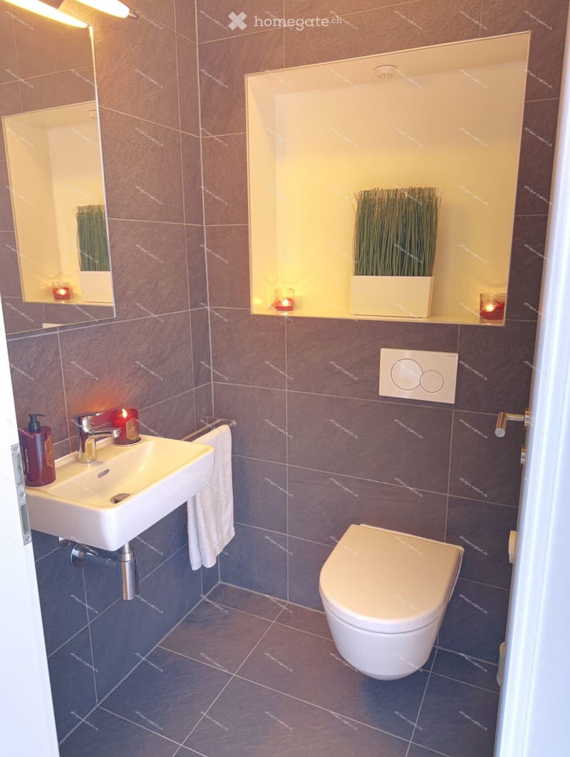 Modern bathroom with dark tiled walls and floor, white sink, chrome faucet, toilet, towel, and decorative candles. A small plant is placed on a shelf above the sink.
