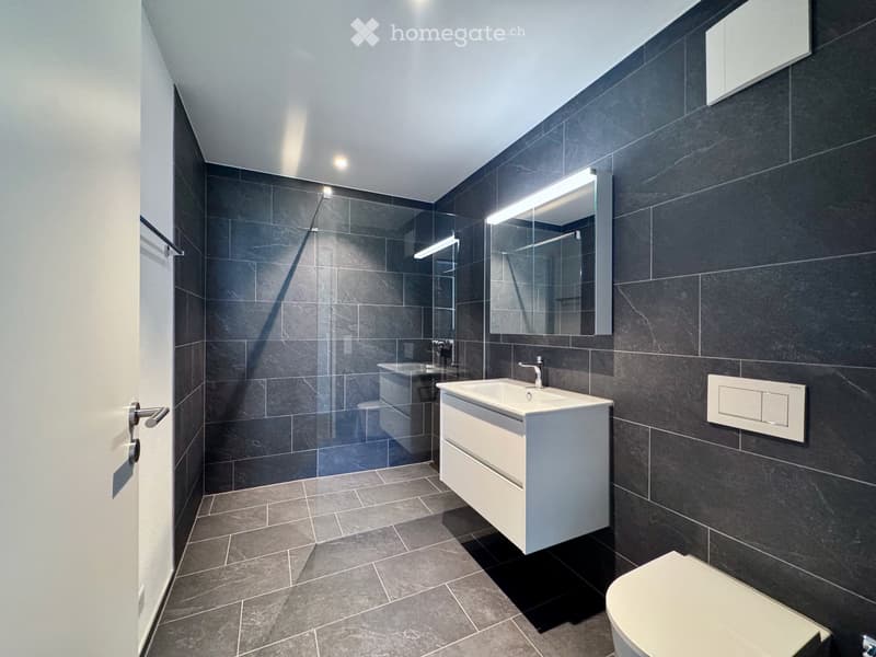 Modern bathroom with dark grey tiles, white sink, mirror, and toilet.