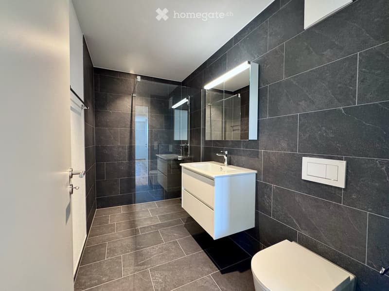 Modern bathroom with dark tiled walls and floor, white sink cabinet, large mirror with built-in lighting, and a separate shower area visible through a glass partition.
