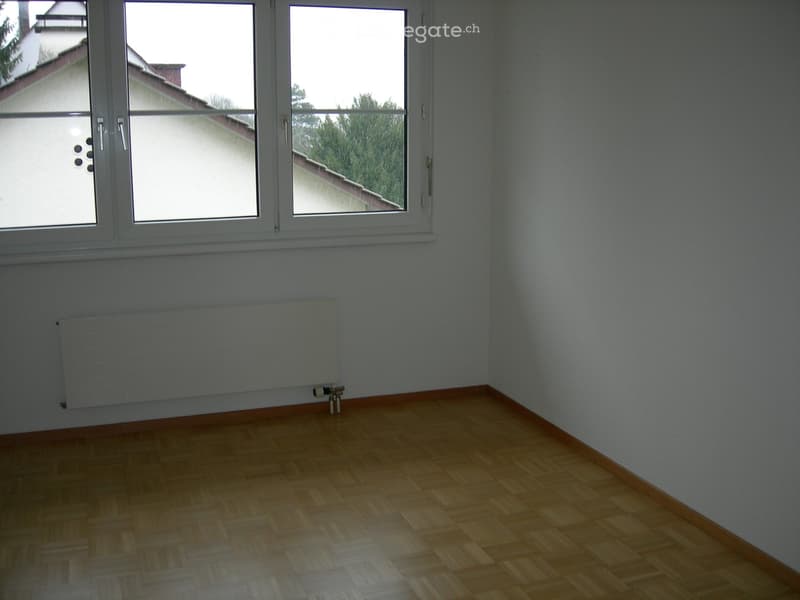 Empty room with wooden flooring, light grey walls, and a radiator below a large window with white frames.