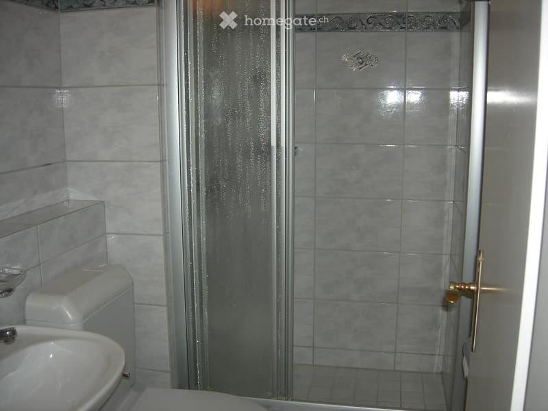 Bathroom with a white sink, toilet, and a glass-enclosed shower with grey tiles.