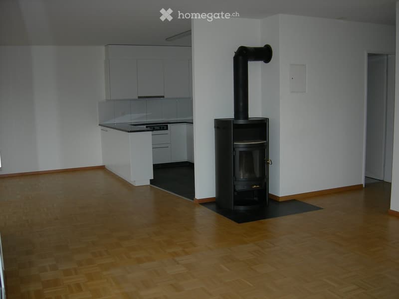 Open-plan space with a modern kitchen area featuring white cabinets and a stove, and a central wood-burning fireplace with a chimney.