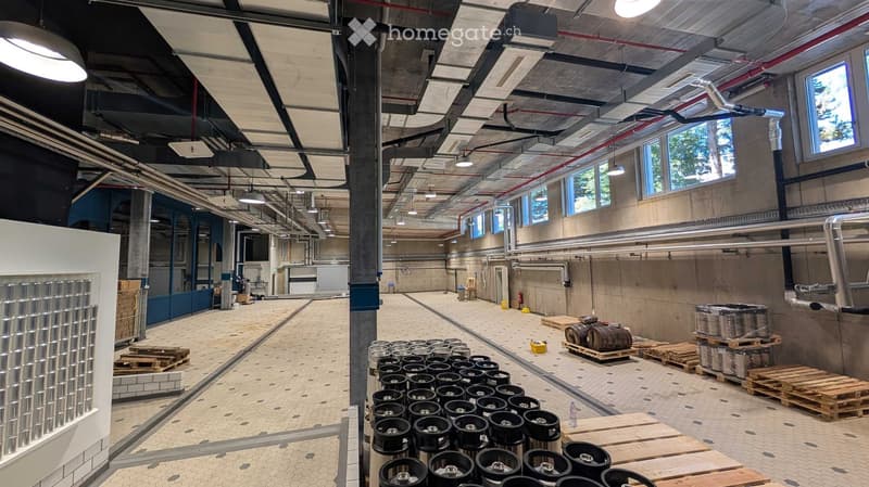 Industrial space with exposed ceiling, large windows, and storage of kegs, barrels, and pallets.