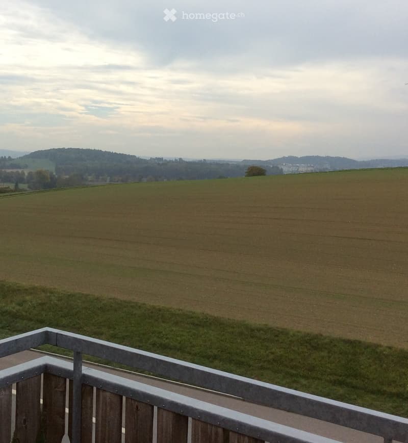 View from a balcony showing a wide, open landscape with fields, distant hills, and a town in the background.