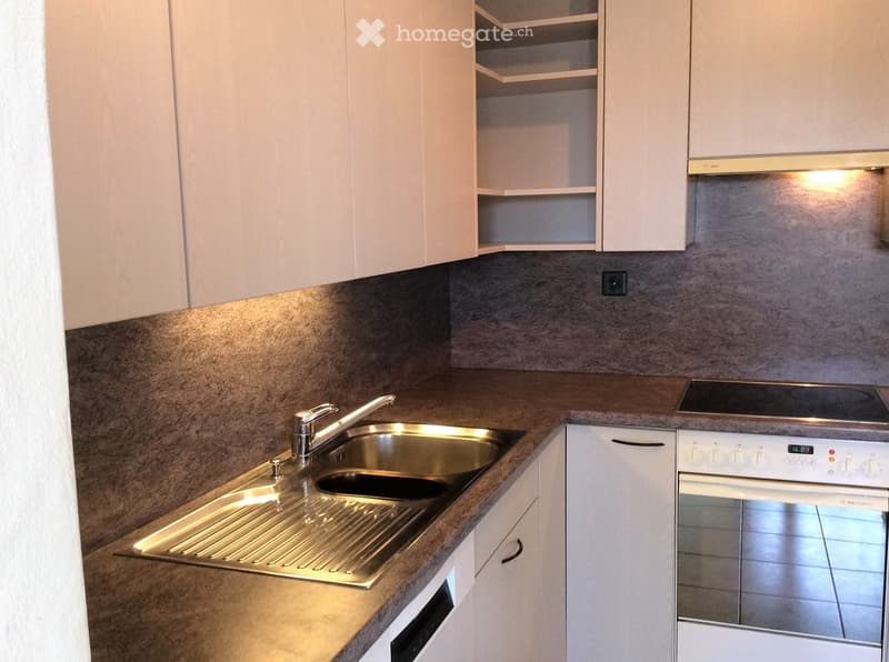 Modern kitchen with light-colored cabinets, stainless steel sink, and built-in appliances including an oven and dishwasher.